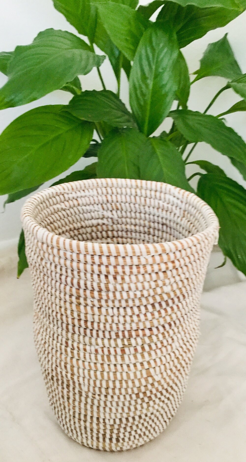 Tan and Eggshell Colored Basket