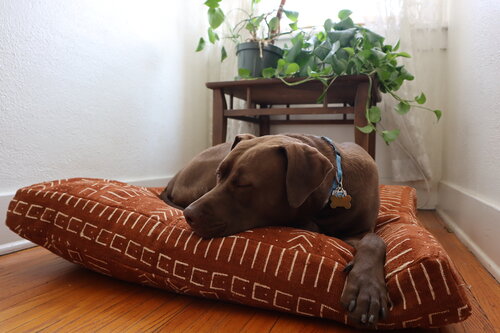XL Dog Bed Multi Pattern on Rust African Mudcloth.