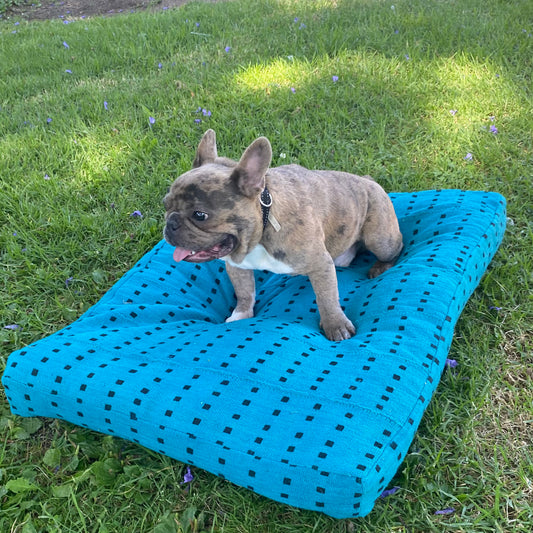 XL Dog Bed 3